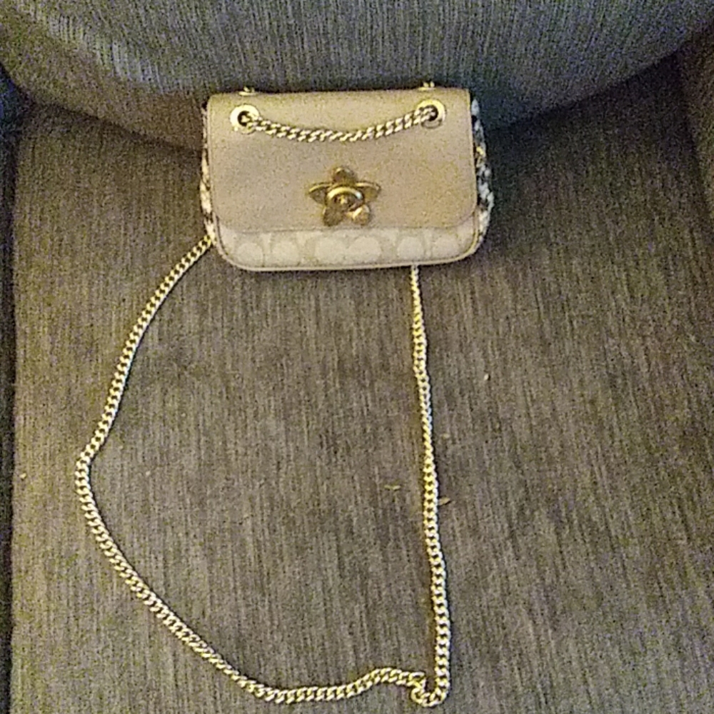 Coach bag